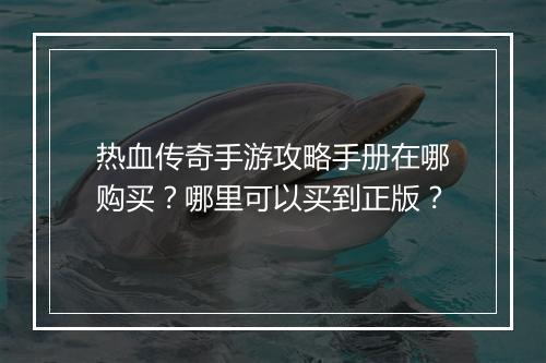 热血传奇手游攻略手册在哪购买？哪里可以买到正版？