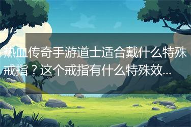 热血传奇手游道士适合戴什么特殊戒指？这个戒指有什么特殊效果？