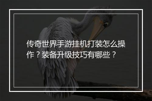 传奇世界手游挂机打装怎么操作？装备升级技巧有哪些？