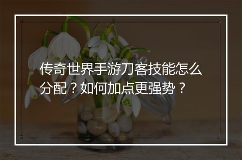 传奇世界手游刀客技能怎么分配？如何加点更强势？