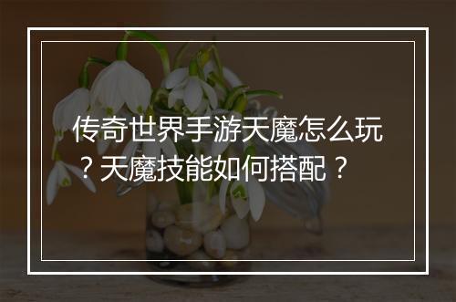 传奇世界手游天魔怎么玩？天魔技能如何搭配？