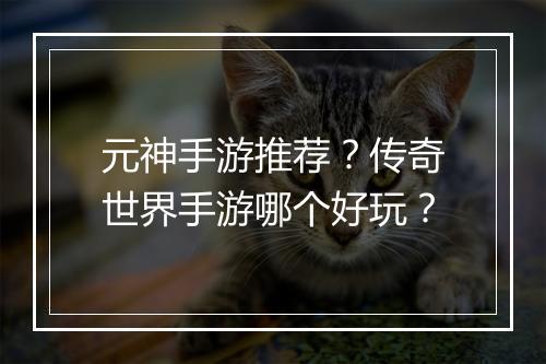 元神手游推荐？传奇世界手游哪个好玩？