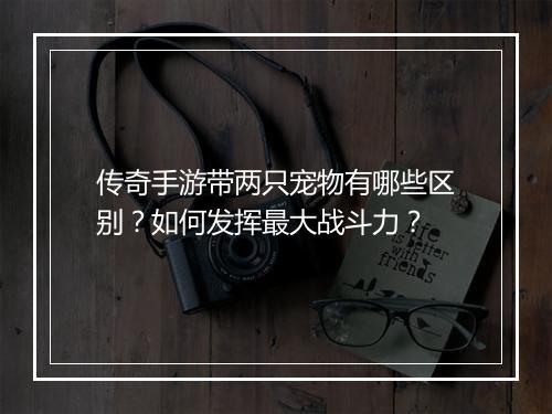 传奇手游带两只宠物有哪些区别？如何发挥最大战斗力？