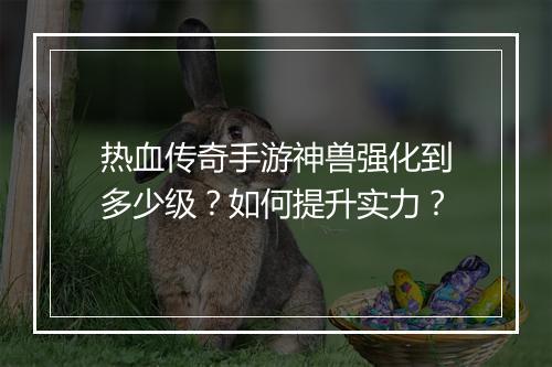 热血传奇手游神兽强化到多少级？如何提升实力？
