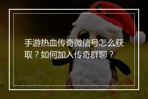 手游热血传奇微信号怎么获取？如何加入传奇群聊？