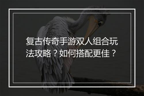 复古传奇手游双人组合玩法攻略？如何搭配更佳？