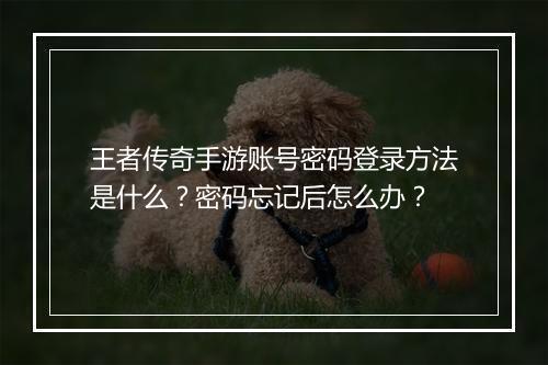 王者传奇手游账号密码登录方法是什么？密码忘记后怎么办？