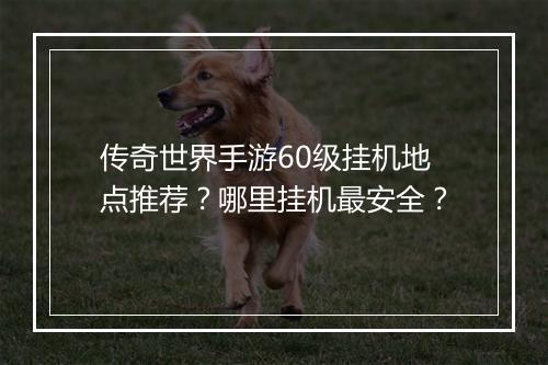 传奇世界手游60级挂机地点推荐？哪里挂机最安全？