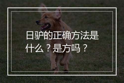 日驴的正确方法是什么？是方吗？