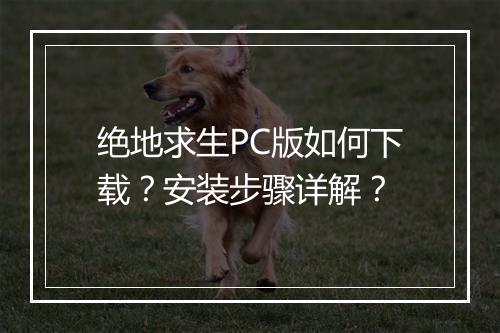 绝地求生PC版如何下载？安装步骤详解？