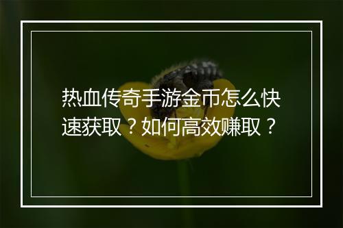 热血传奇手游金币怎么快速获取？如何高效赚取？