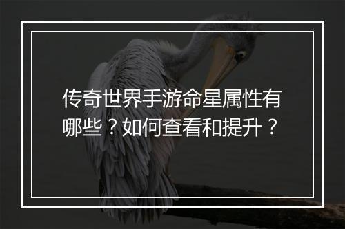 传奇世界手游命星属性有哪些？如何查看和提升？