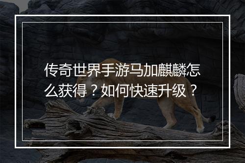 传奇世界手游马加麒麟怎么获得？如何快速升级？