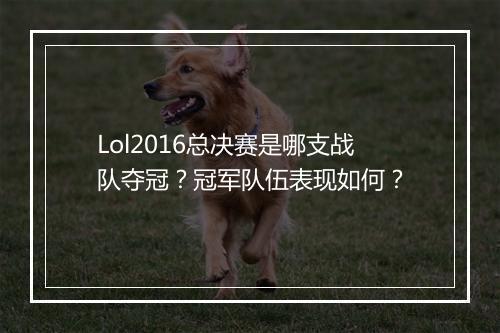 Lol2016总决赛是哪支战队夺冠？冠军队伍表现如何？