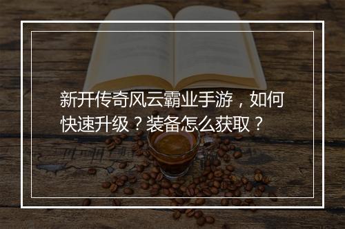 新开传奇风云霸业手游，如何快速升级？装备怎么获取？