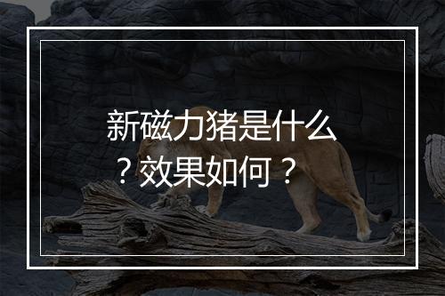 新磁力猪是什么？效果如何？