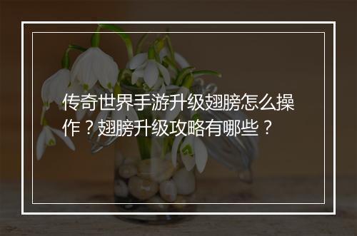 传奇世界手游升级翅膀怎么操作？翅膀升级攻略有哪些？