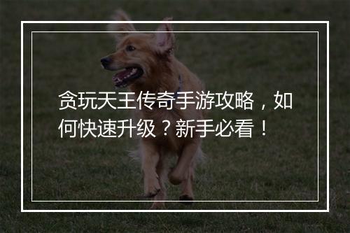 贪玩天王传奇手游攻略,如何快速升级?新手必看!