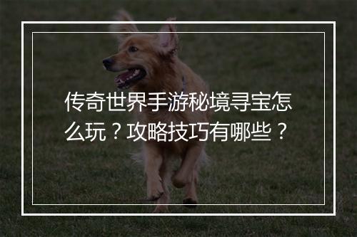 传奇世界手游秘境寻宝怎么玩？攻略技巧有哪些？