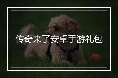 传奇来了安卓手游礼包