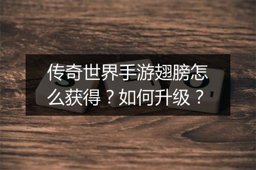 传奇世界手游翅膀怎么获得？如何升级？