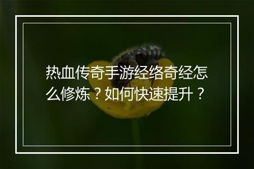 热血传奇手游经络奇经怎么修炼？如何快速提升？