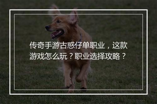 传奇手游古惑仔单职业，这款游戏怎么玩？职业选择攻略？