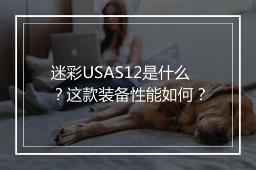 迷彩USAS12是什么？这款装备性能如何？