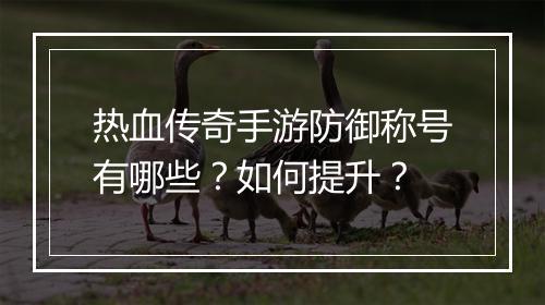 热血传奇手游防御称号有哪些？如何提升？