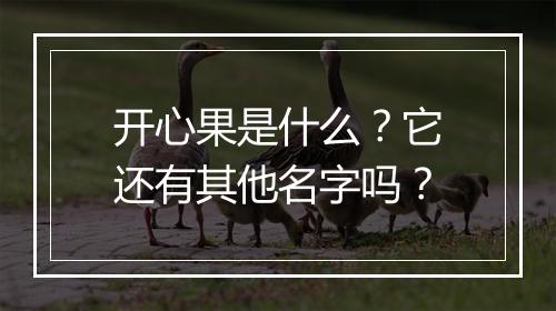 开心果是什么？它还有其他名字吗？