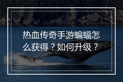热血传奇手游蝙蝠怎么获得？如何升级？
