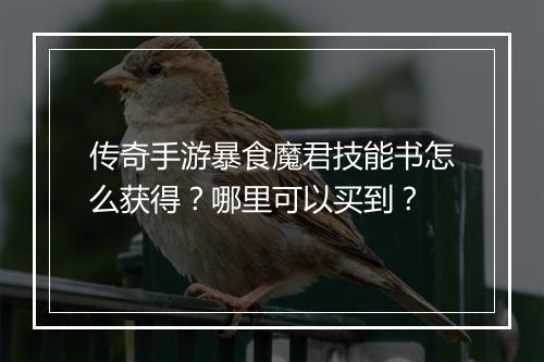 传奇手游暴食魔君技能书怎么获得？哪里可以买到？