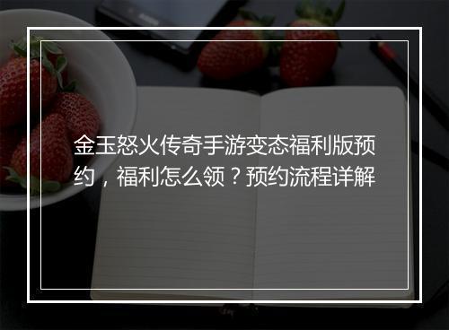 金玉怒火传奇手游变态福利版预约，福利怎么领？预约流程详解