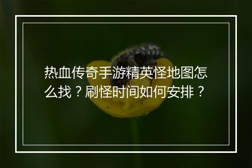 热血传奇手游精英怪地图怎么找？刷怪时间如何安排？