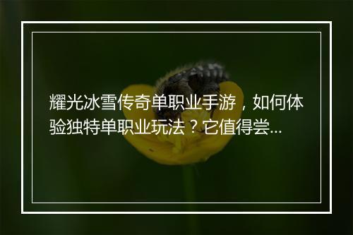 耀光冰雪传奇单职业手游，如何体验独特单职业玩法？它值得尝试吗？
