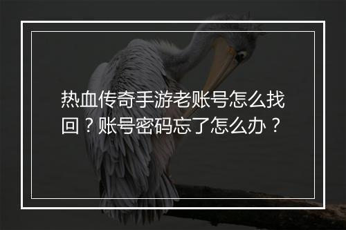热血传奇手游老账号怎么找回？账号密码忘了怎么办？