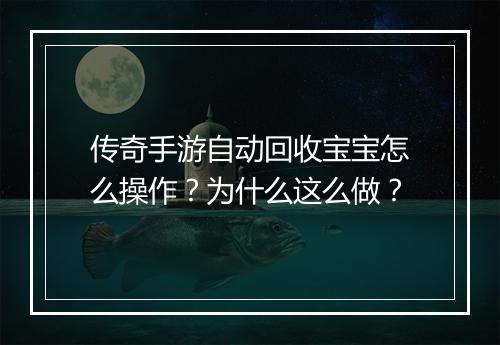 传奇手游自动回收宝宝怎么操作？为什么这么做？