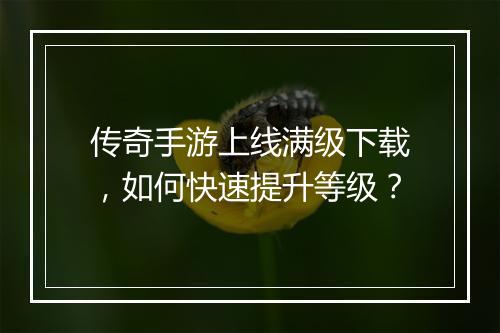 传奇手游上线满级下载，如何快速提升等级？