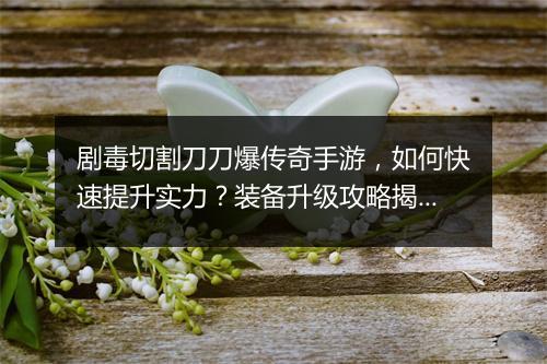 剧毒切割刀刀爆传奇手游，如何快速提升实力？装备升级攻略揭秘！