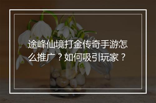 途峰仙境打金传奇手游怎么推广？如何吸引玩家？