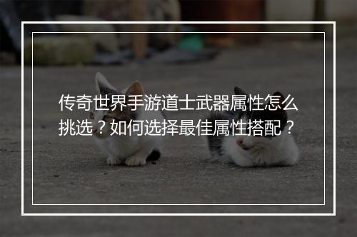传奇世界手游道士武器属性怎么挑选？如何选择最佳属性搭配？