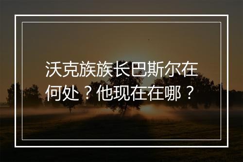 沃克族族长巴斯尔在何处？他现在在哪？