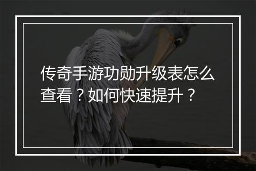 传奇手游功勋升级表怎么查看？如何快速提升？
