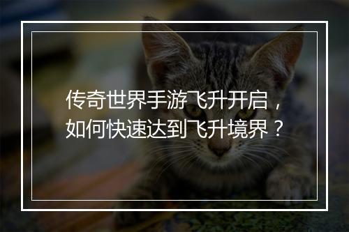 传奇世界手游飞升开启，如何快速达到飞升境界？