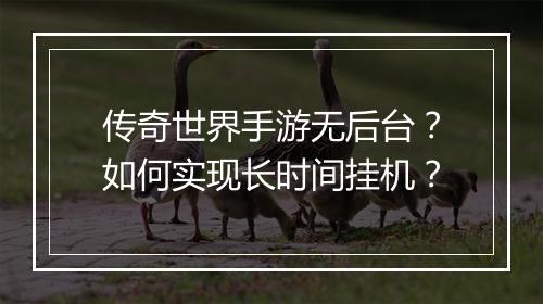 传奇世界手游无后台？如何实现长时间挂机？