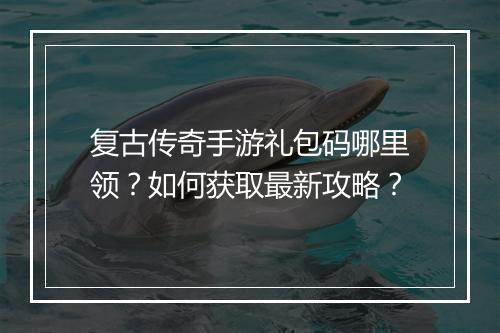 复古传奇手游礼包码哪里领？如何获取最新攻略？