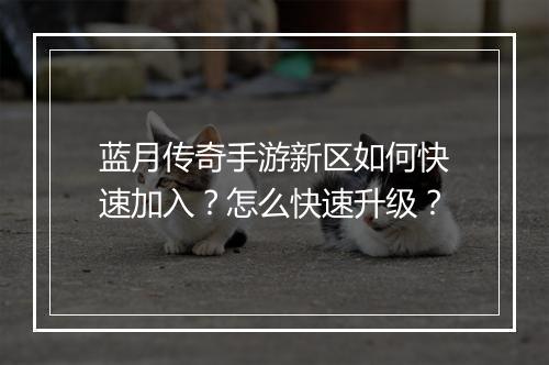 蓝月传奇手游新区如何快速加入？怎么快速升级？