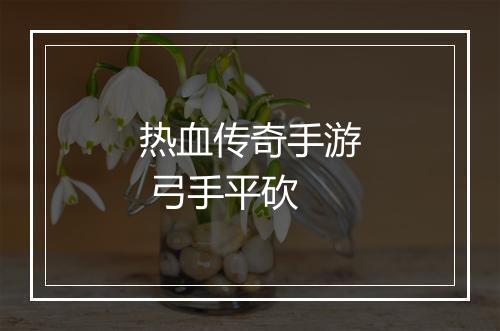 热血传奇手游 弓手平砍