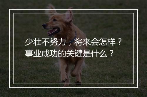 少壮不努力，将来会怎样？事业成功的关键是什么？