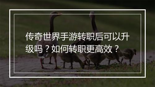 传奇世界手游转职后可以升级吗？如何转职更高效？